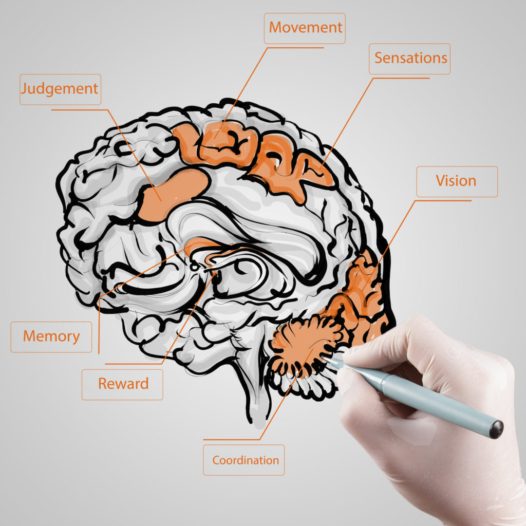 Uno studio rileva che l’anticipazione della balbuzie provoca un’attività unica nel cervello
